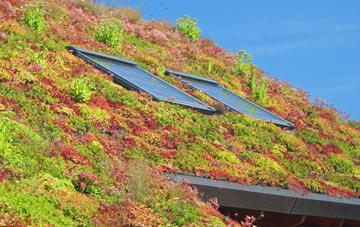 Groby living roof systems